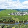 moselwein kaufen, mein moselwein shop, erlesene Weine, Mosel, Riesling, Elbling, kaufen, moselschleife, karl petgen, chrisopher lex, jürgen hardt, henri ruppert crémant, cremant, winzersekt, manfred rodermund